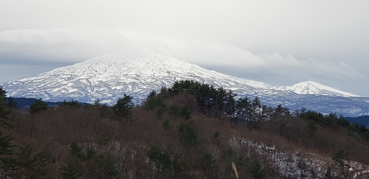 f:id:tchibineko:20201210231302j:plain