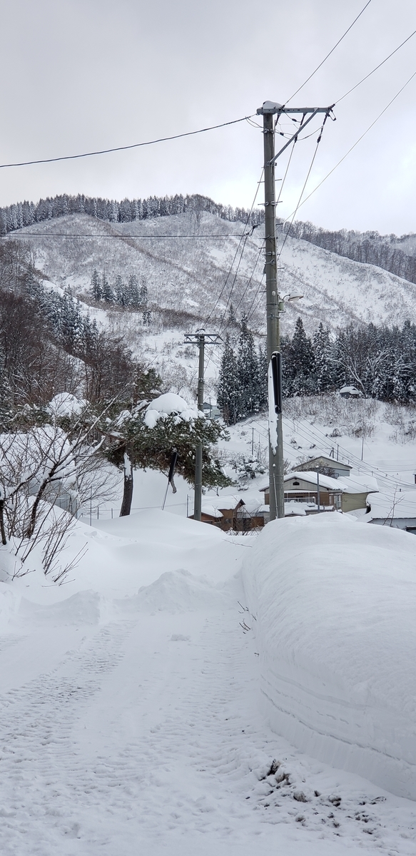 f:id:tchibineko:20201218225543j:plain