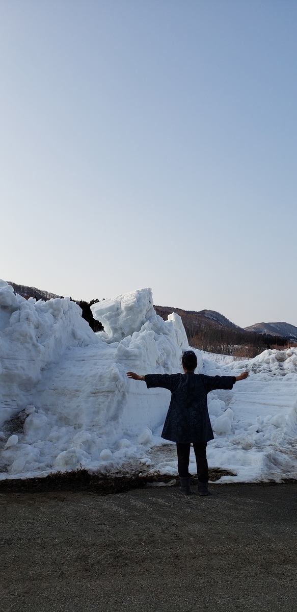 f:id:tchibineko:20210311233821j:plain