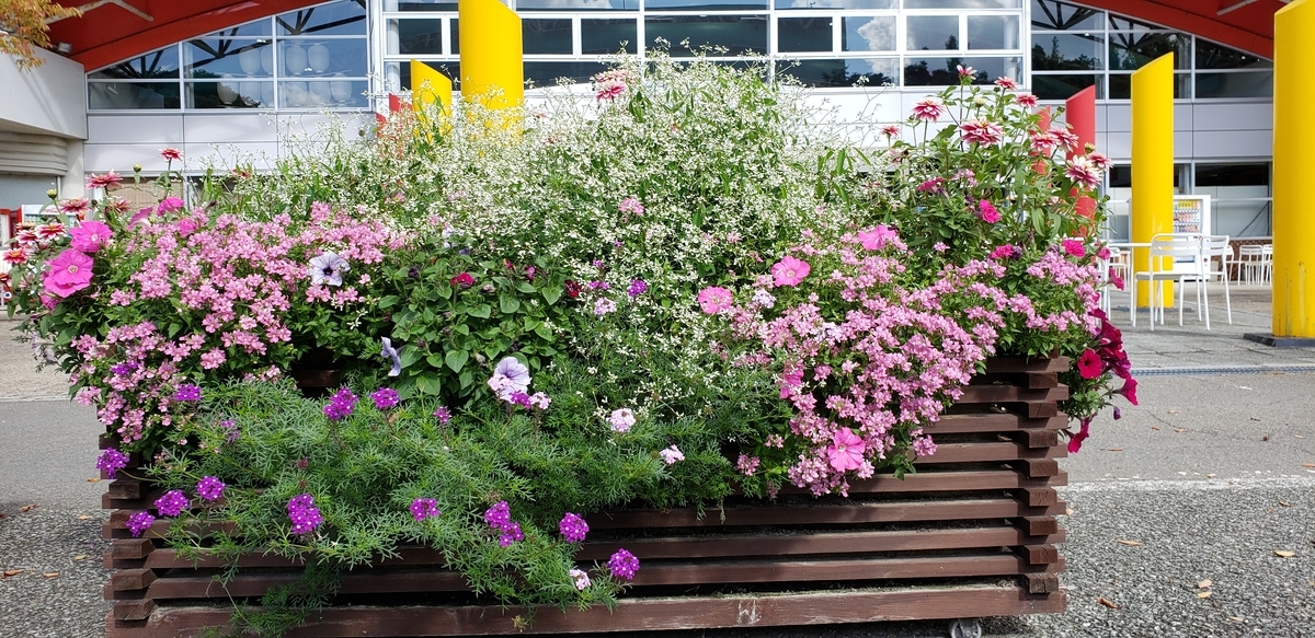 f:id:tchibineko:20210708233210j:plain