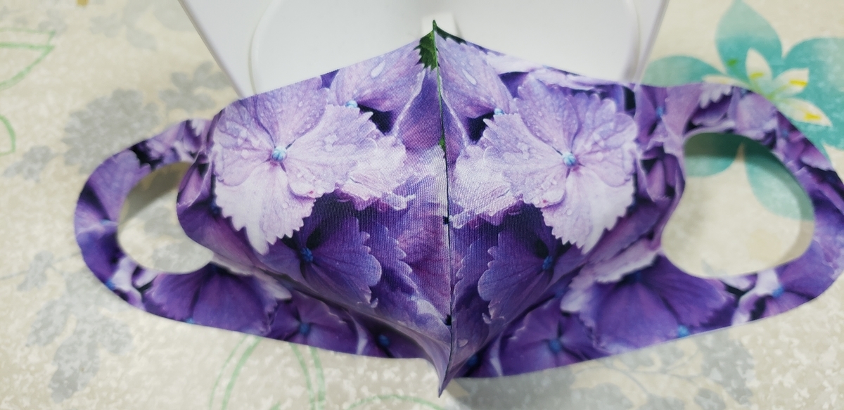 f:id:tchibineko:20210913231754j:plain