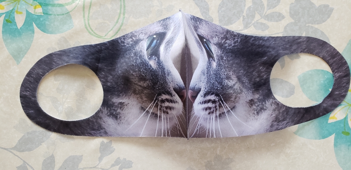 f:id:tchibineko:20210913232542j:plain