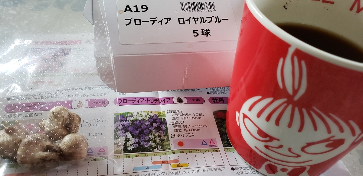 f:id:tchibineko:20211112161632j:plain