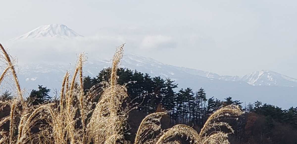 f:id:tchibineko:20211122231622j:plain
