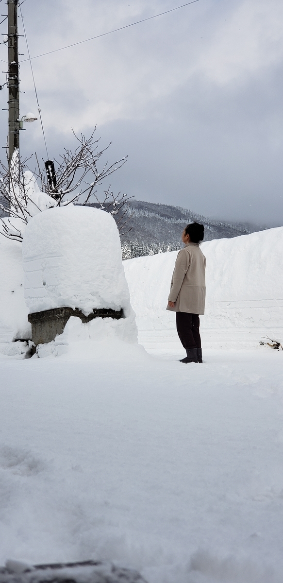 f:id:tchibineko:20220106230223j:plain