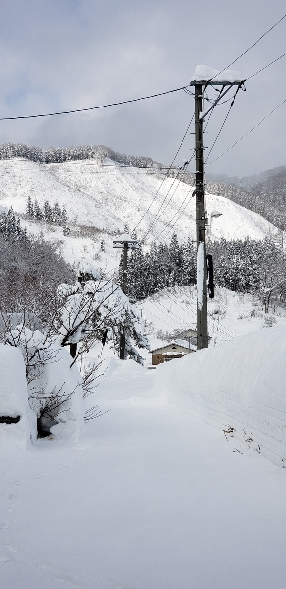 f:id:tchibineko:20220106230244j:plain