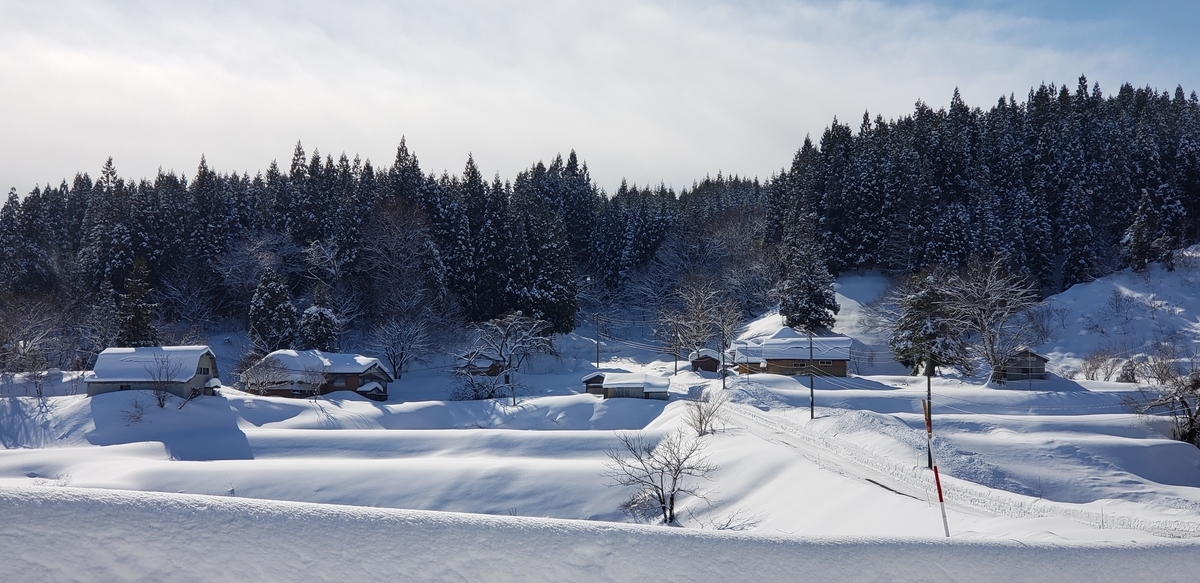 f:id:tchibineko:20220121093937j:plain