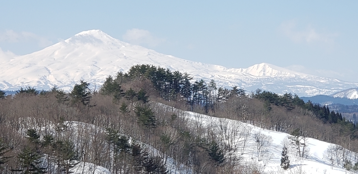 f:id:tchibineko:20220311223509j:plain