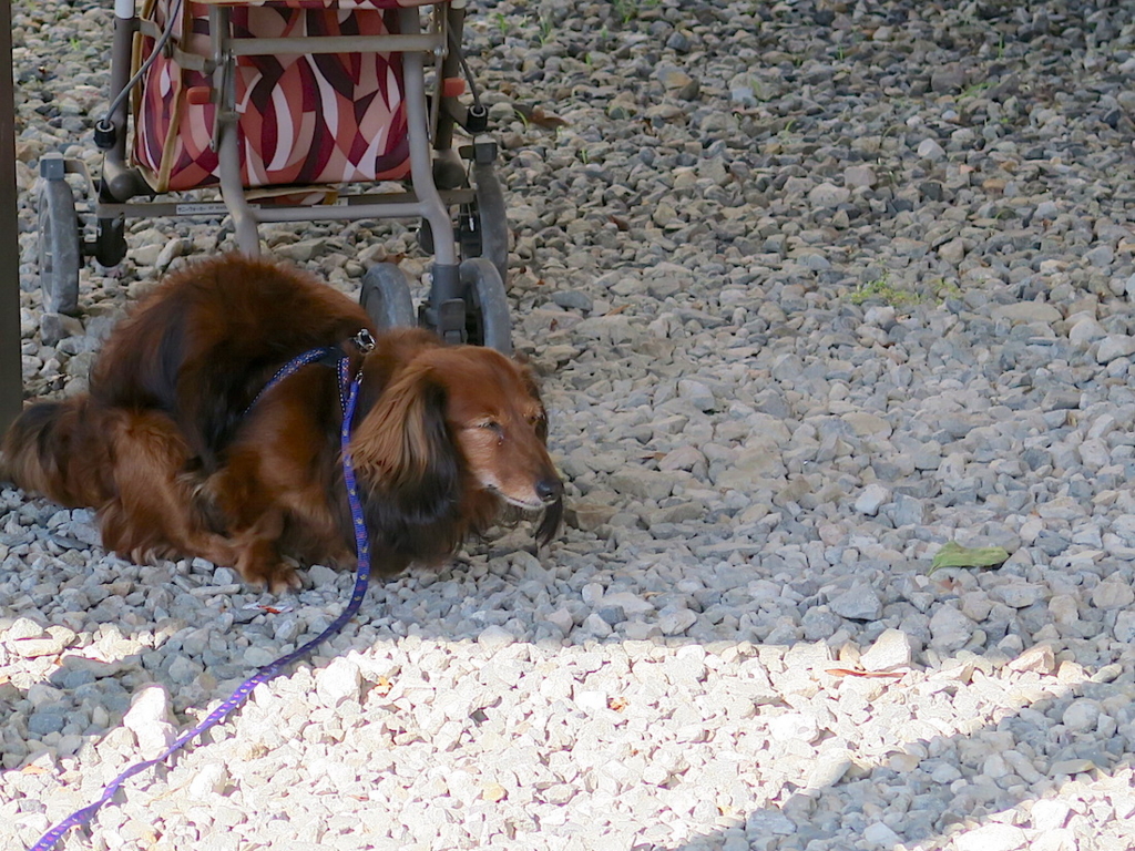 f:id:tcho5397:20160626161429j:plain f:id:tcho5397:20160626161429j:plain