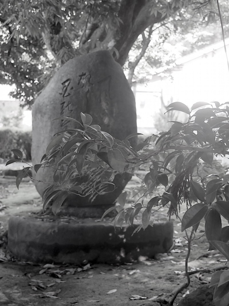 f:id:tcho5397:20160626163234j:plain f:id:tcho5397:20160626163234j:plain