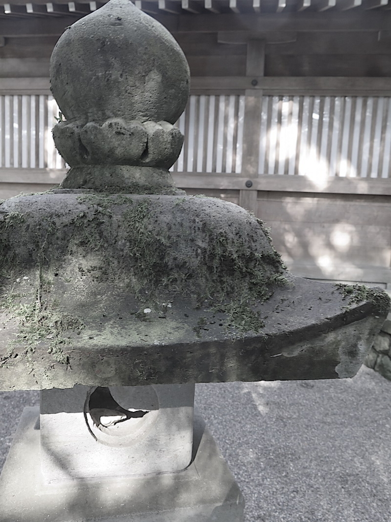 f:id:tcho5397:20160626163528j:plain f:id:tcho5397:20160626163528j:plain