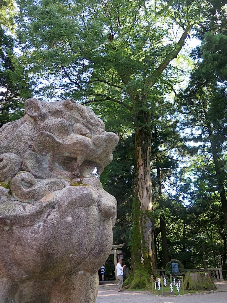 f:id:tcho5397:20160626163722j:plain f:id:tcho5397:20160626163722j:plain