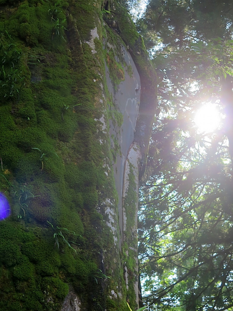 f:id:tcho5397:20160626163900j:plain f:id:tcho5397:20160626163900j:plain