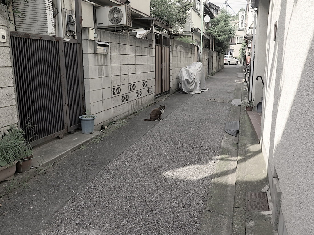 f:id:tcho5397:20160703155655j:plain f:id:tcho5397:20160703155655j:plain