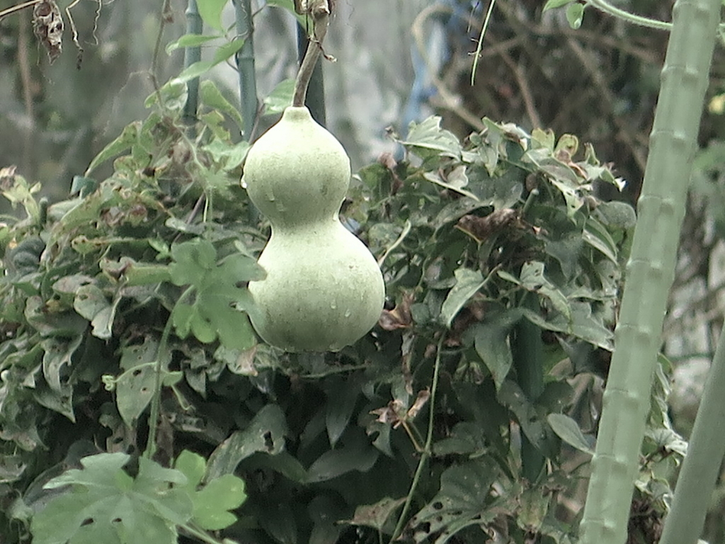 f:id:tcho5397:20160918114900j:plain