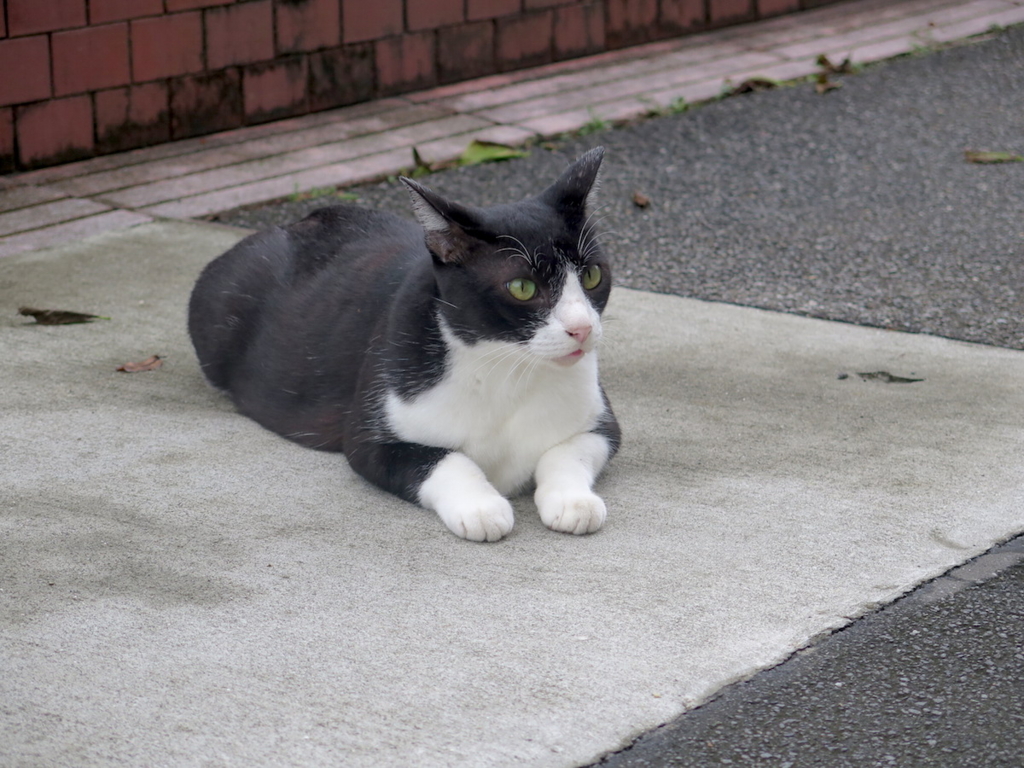 f:id:tcho5397:20160918124418j:plain