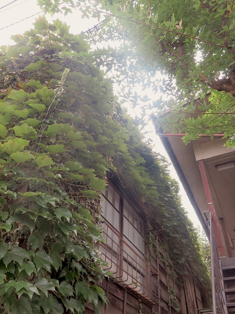 f:id:tcho5397:20160918131303j:plain