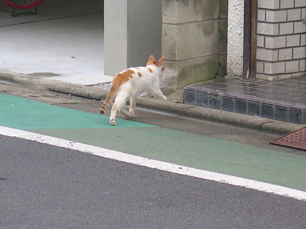 f:id:tcho5397:20160918140023j:plain