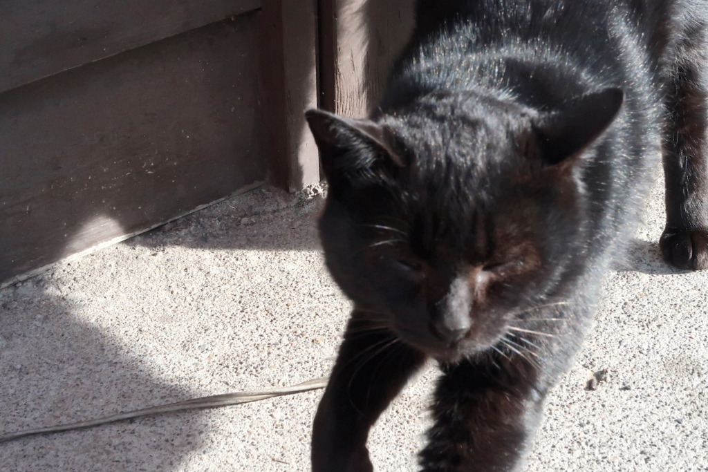 f:id:tcho5397:20170109095600j:plain f:id:tcho5397:20170109095600j:plain