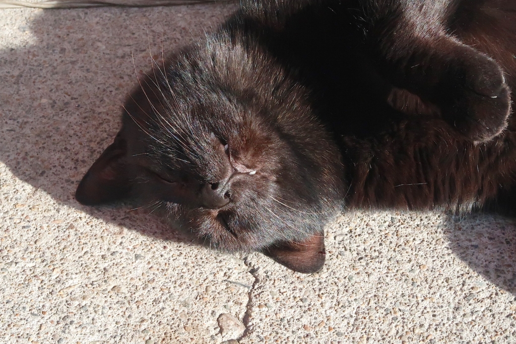 f:id:tcho5397:20170109095612j:plain f:id:tcho5397:20170109095612j:plain