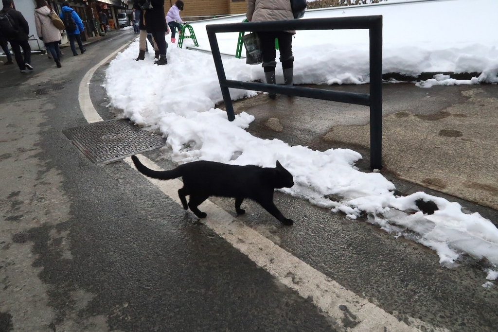 f:id:tcho5397:20170109100512j:plain f:id:tcho5397:20170109100512j:plain