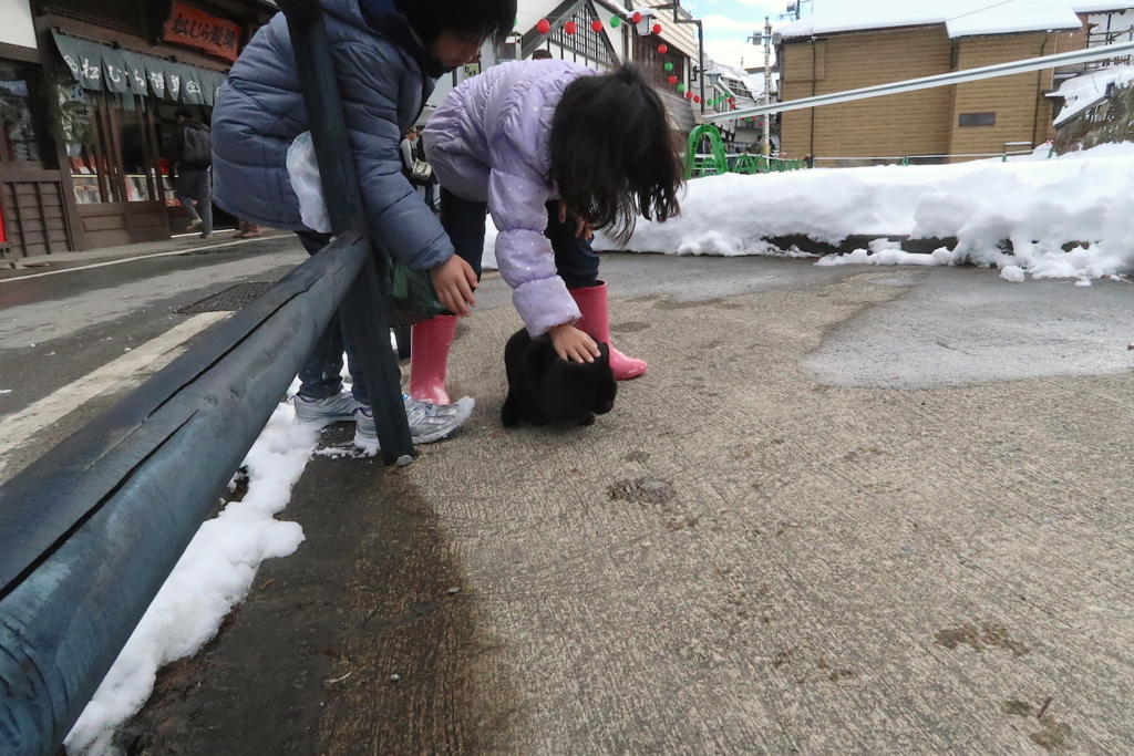 f:id:tcho5397:20170109100525j:plain f:id:tcho5397:20170109100525j:plain