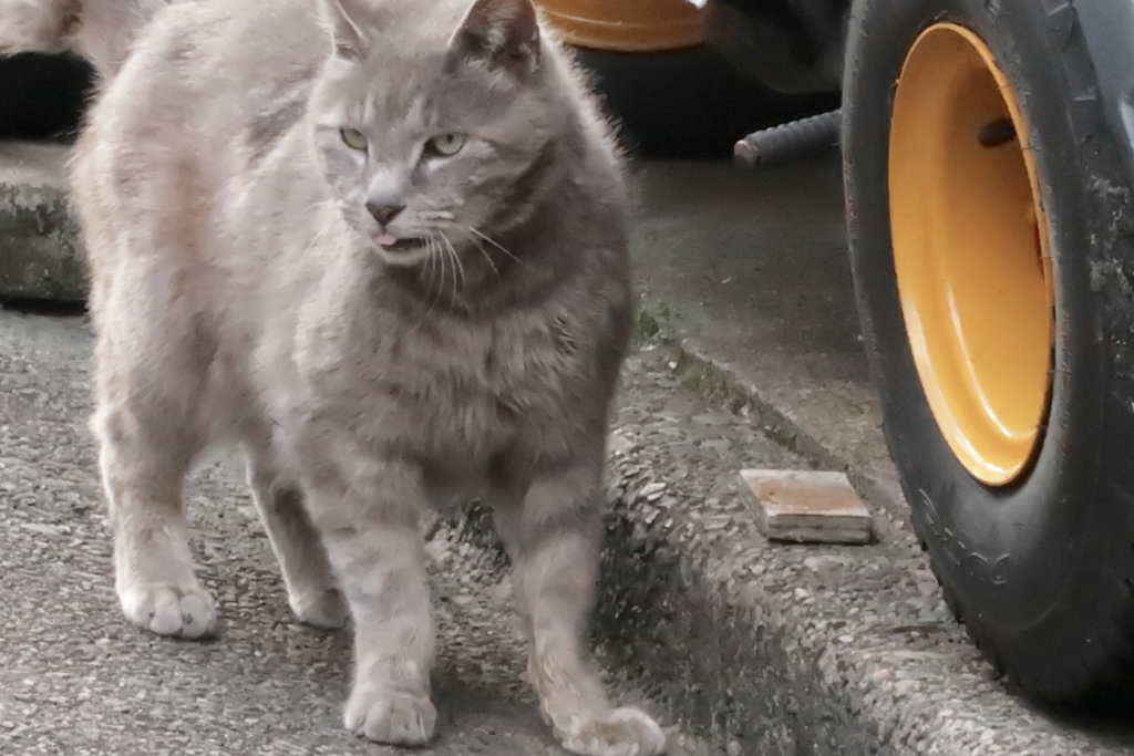 f:id:tcho5397:20170423163438j:plain