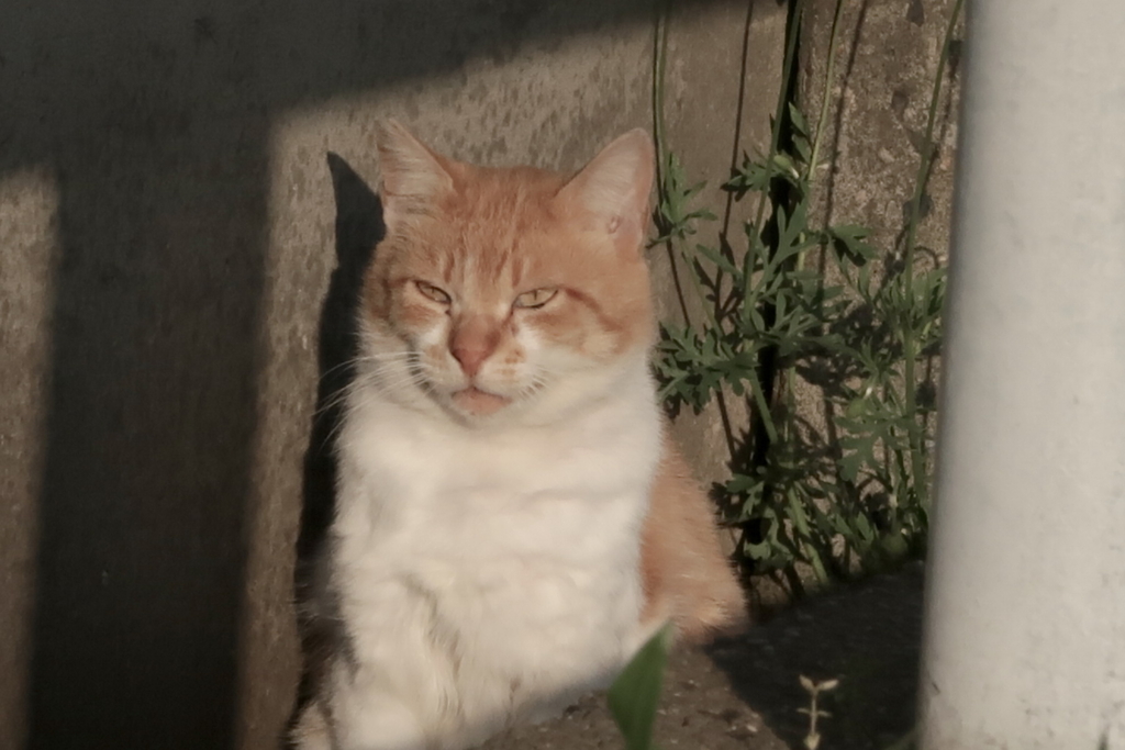 f:id:tcho5397:20170430171434j:plain