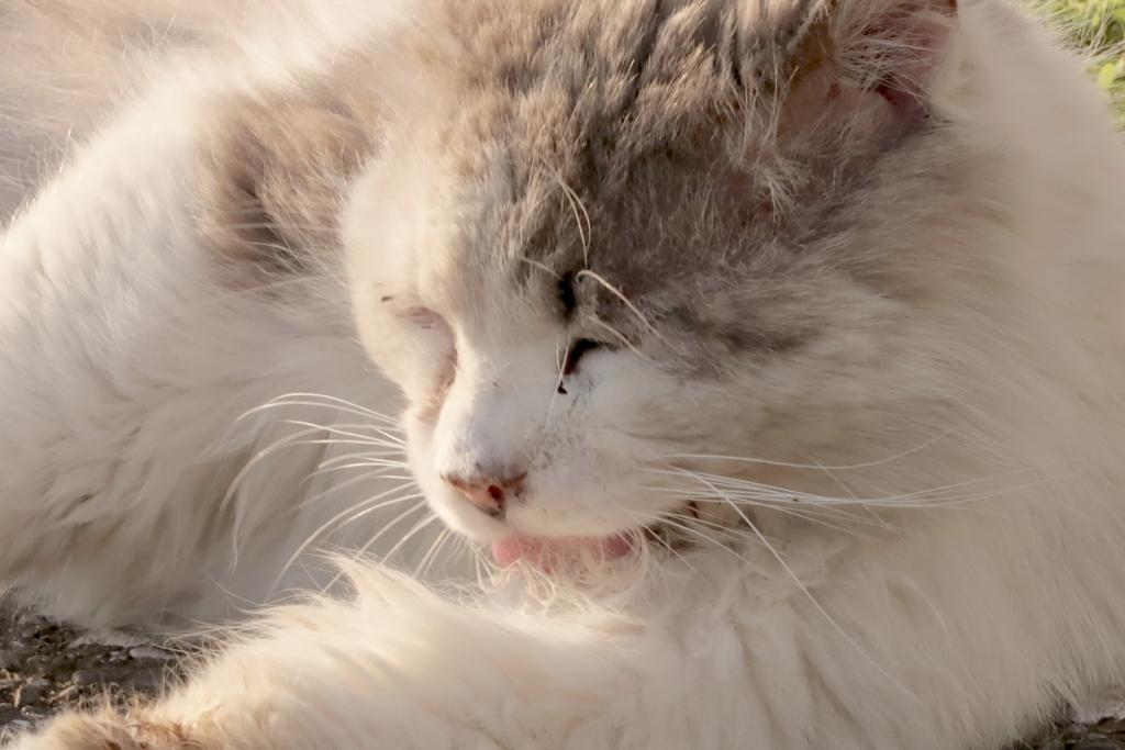 f:id:tcho5397:20170430171526j:plain