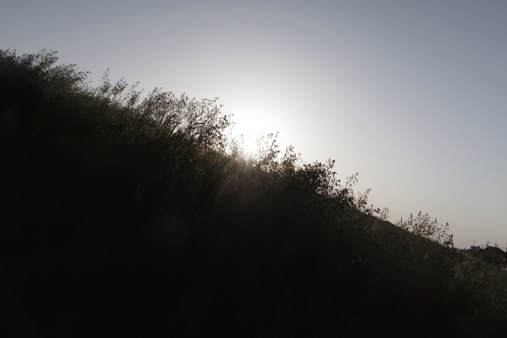 f:id:tcho5397:20170430173232j:plain