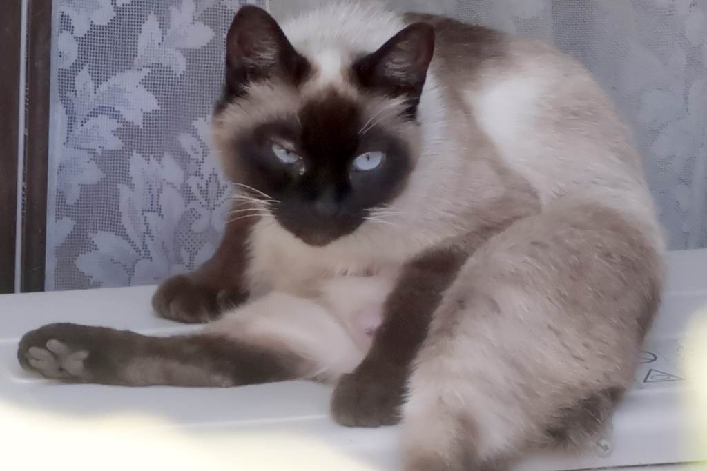 f:id:tcho5397:20170504143246j:plain f:id:tcho5397:20170504143246j:plain