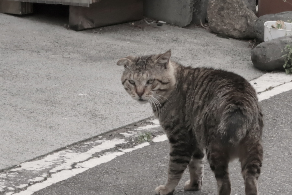 f:id:tcho5397:20170514162204j:plain