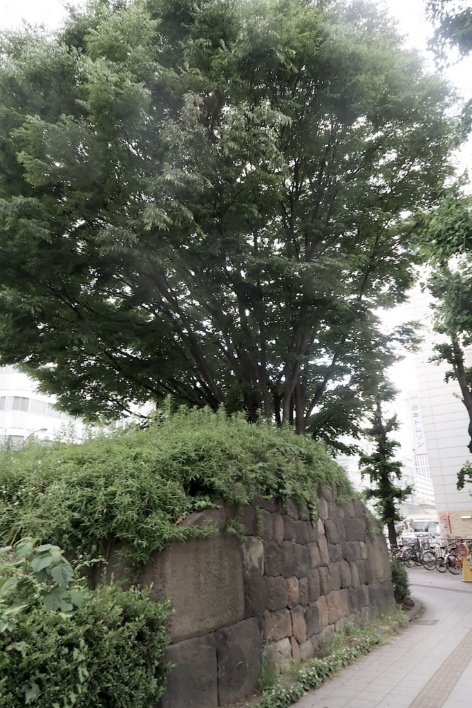 f:id:tcho5397:20170604144450j:plain f:id:tcho5397:20170604144450j:plain