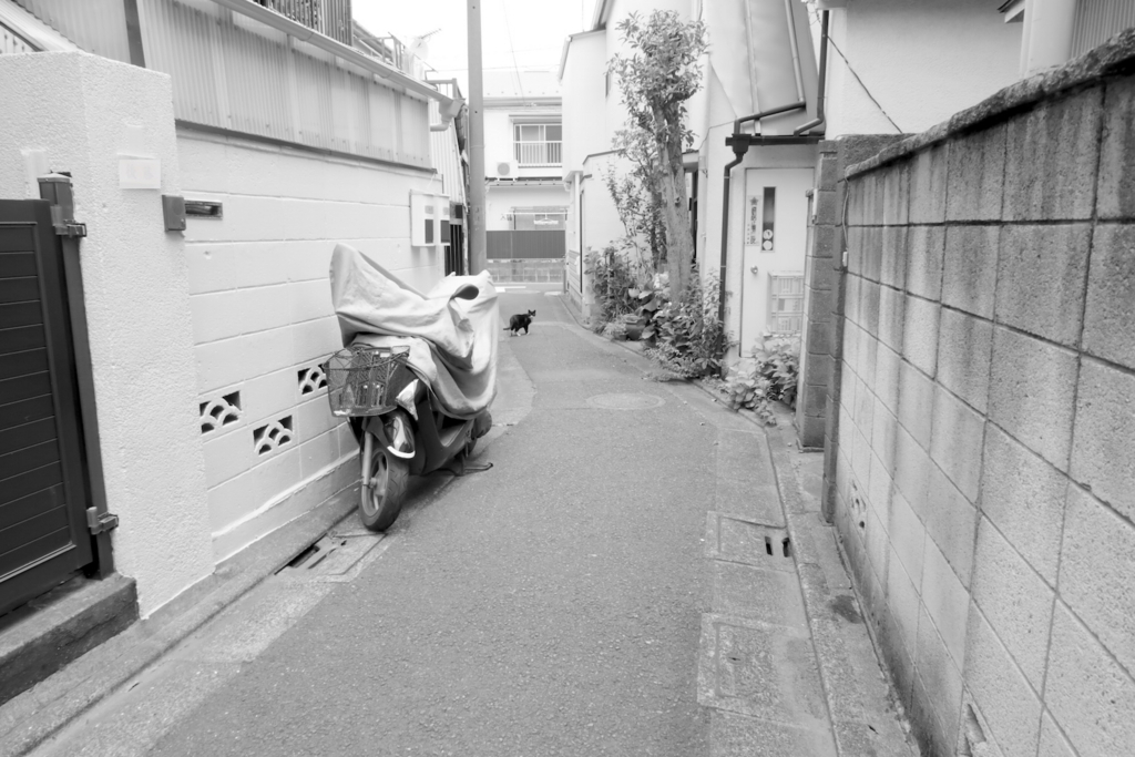 f:id:tcho5397:20170611113816j:plain