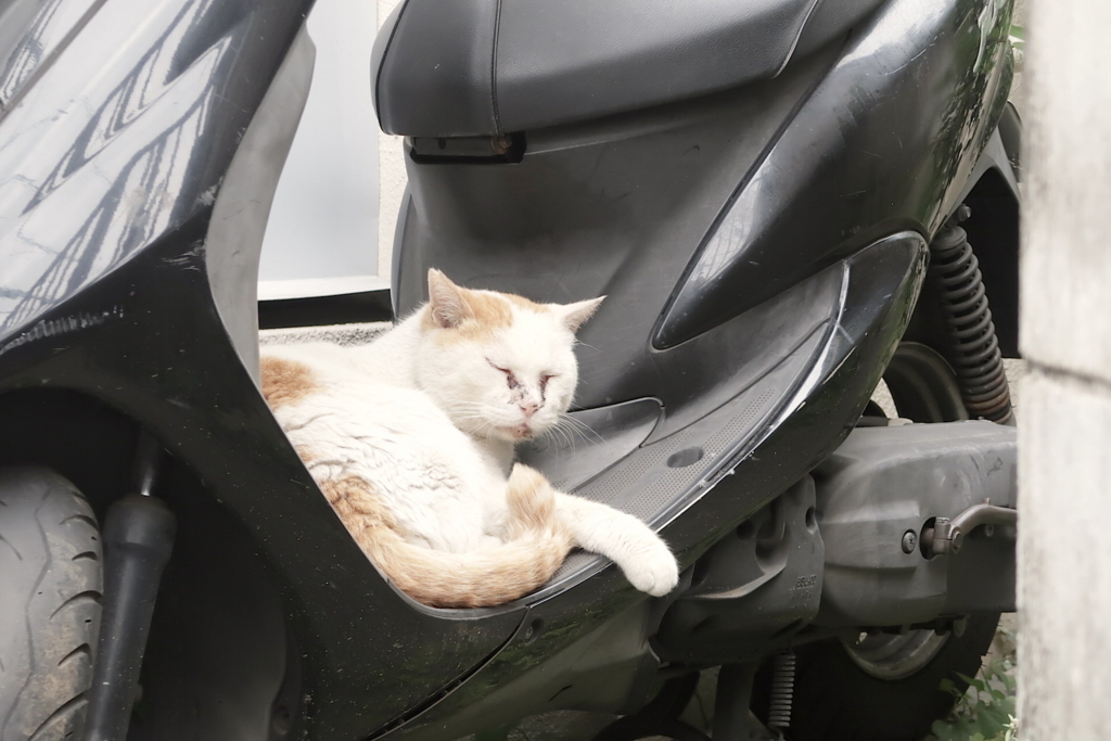 f:id:tcho5397:20170611114132j:plain