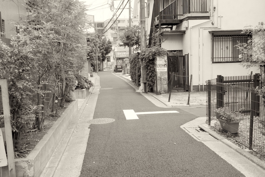 f:id:tcho5397:20170611115743j:plain