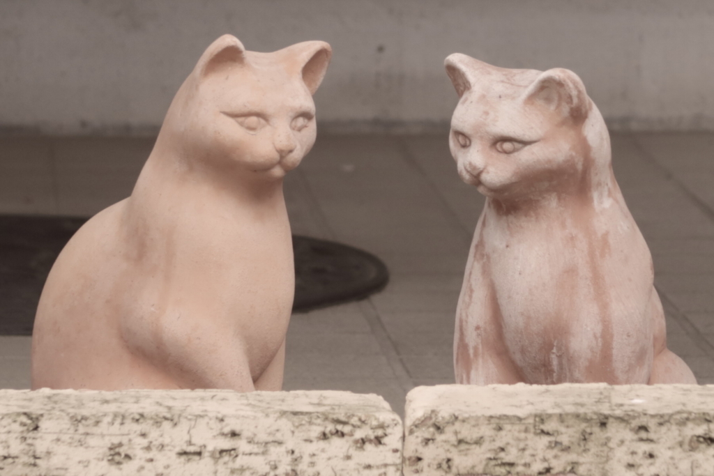 f:id:tcho5397:20170702164429j:plain