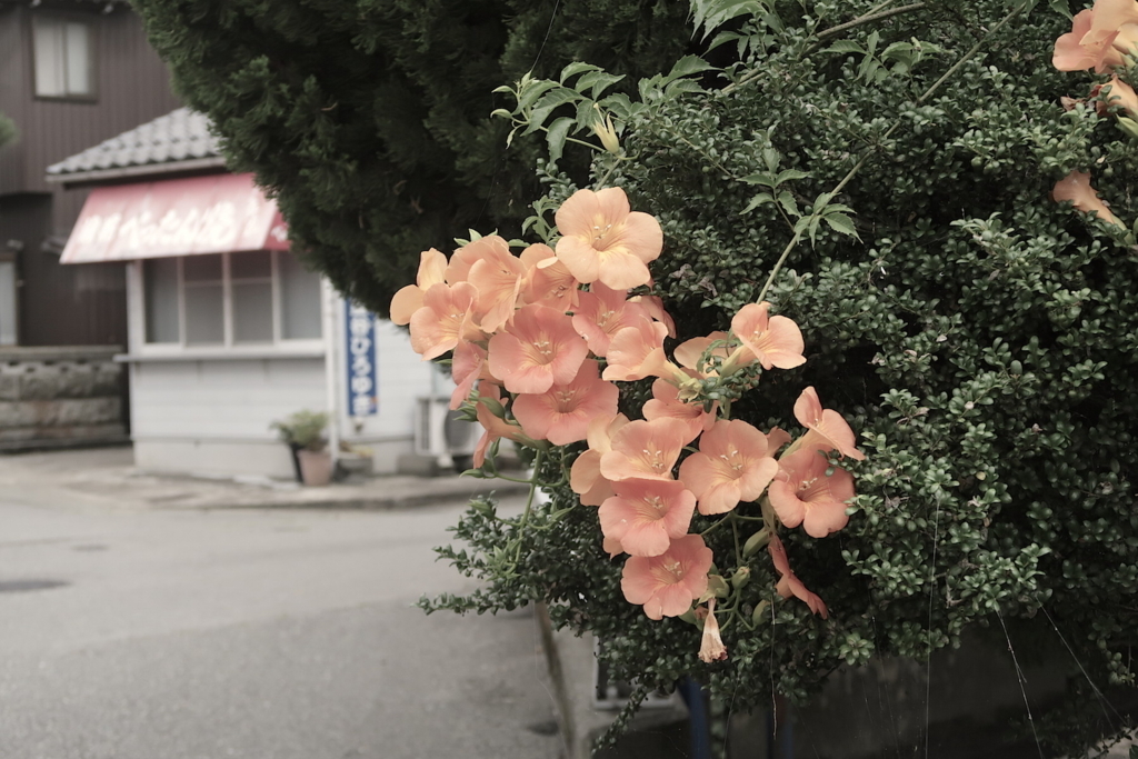 f:id:tcho5397:20170716161046j:plain f:id:tcho5397:20170716161046j:plain