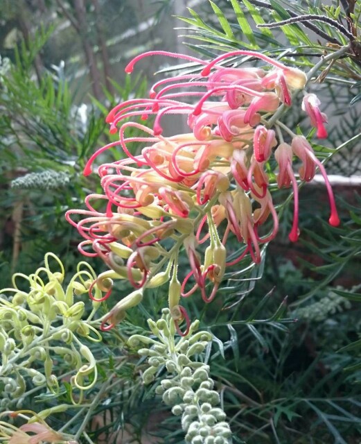 f:id:tcova:20180517193317j:image f:id:tcova:20180517193317j:image