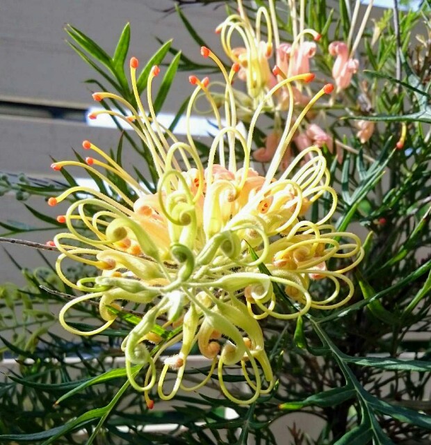 f:id:tcova:20180517193330j:image f:id:tcova:20180517193330j:image