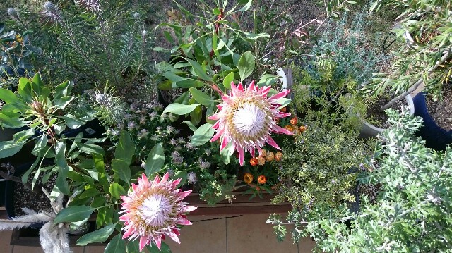 f:id:tcova:20180517193424j:image f:id:tcova:20180517193424j:image