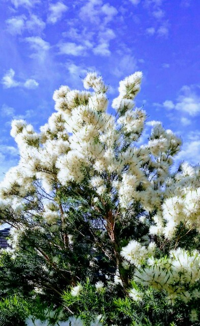 f:id:tcova:20180603115901j:image f:id:tcova:20180603115901j:image