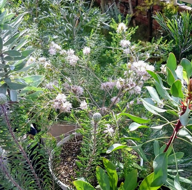 f:id:tcova:20180603120214j:image f:id:tcova:20180603120214j:image