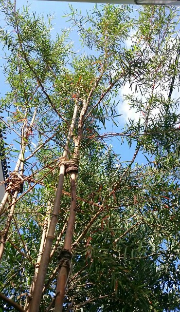 f:id:tcova:20180603120359j:image f:id:tcova:20180603120359j:image