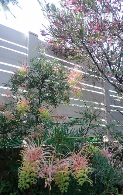 f:id:tcova:20180603120509j:image f:id:tcova:20180603120509j:image