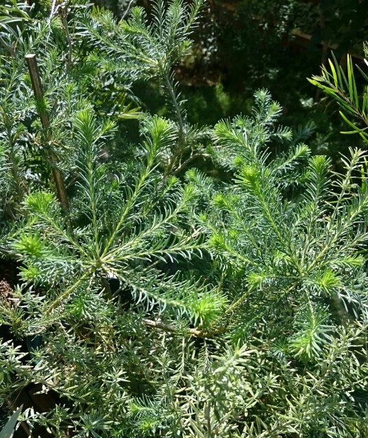 f:id:tcova:20180603120742j:image f:id:tcova:20180603120742j:image