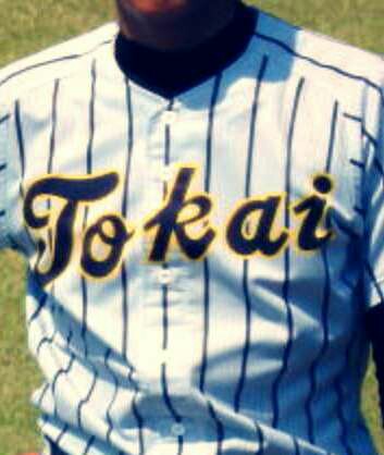 第100回全国高校野球千葉大会 ベスト4 - NPB native plants