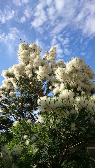 f:id:tcova:20211117134536j:image f:id:tcova:20211117134536j:image