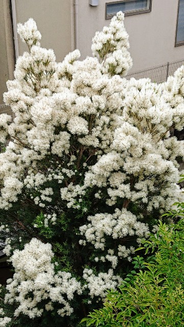 f:id:tcova:20211117134927j:image