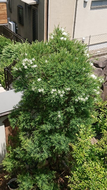 f:id:tcova:20211117135829j:image f:id:tcova:20211117135829j:image